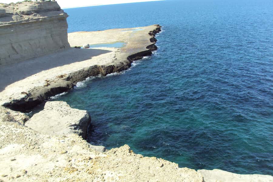 From Puerto Madryn: Valdes Peninsula Full-Day Tour - Valdes Peninsula Looks Better When You Know What You’re Seeing
