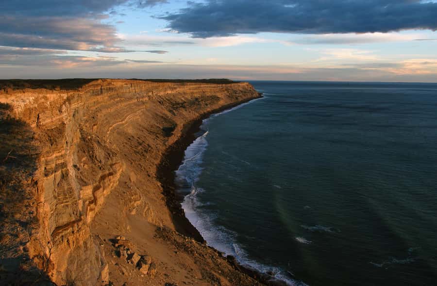 From Puerto Madryn: Valdes Peninsula Full-Day Tour - Carlos Ameghino Isthmus: The Interpretive Center That Makes Wildlife Click