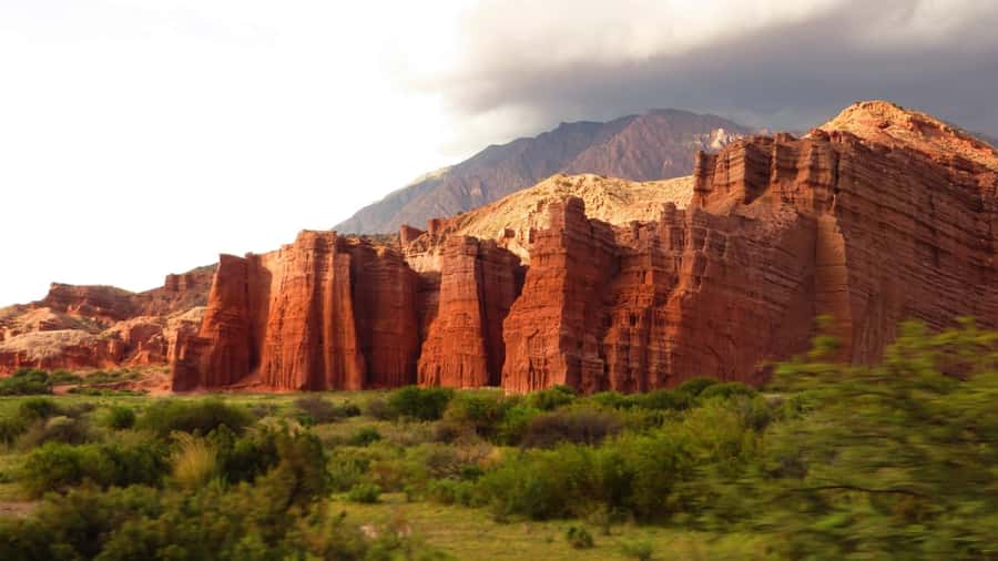 From Salta: 2-Day Guided Trip to Cafayate and Cachi - Los Cardones National Park: why the cactus is more than a photo stop