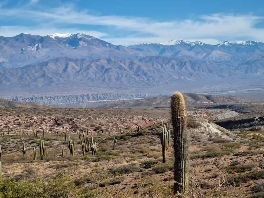 From Salta: 2-Day Guided Trip to Cafayate and Cachi - Day 1: from Lerma Valley tobacco to Cafayate’s red rock wonders