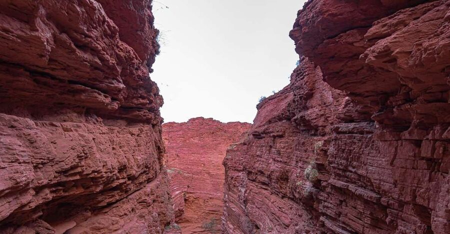 From Salta: 2 Day Guided Trip to Cafayate & Salinas Grandes - How the trip makes Salta Province easier to experience