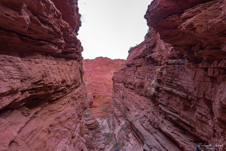 From Salta: 2 Day Guided Trip to Cafayate & Salinas Grandes - The small details that make or break it