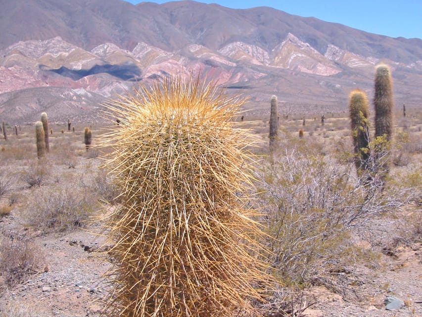 From Salta: 3-Day Cafayate, Cachi, and Humahuaca Guided Trip - How This 3-Day Salta Route Stays Interesting