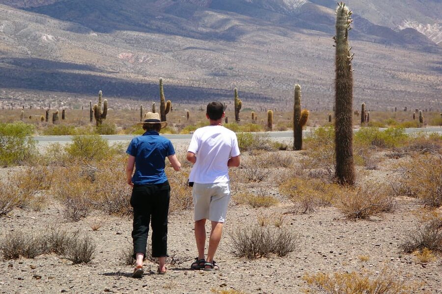 From Salta: 3-Day Cafayate, Cachi, and Humahuaca Guided Trip - Getting Around: The Dirt Roads Reality Check