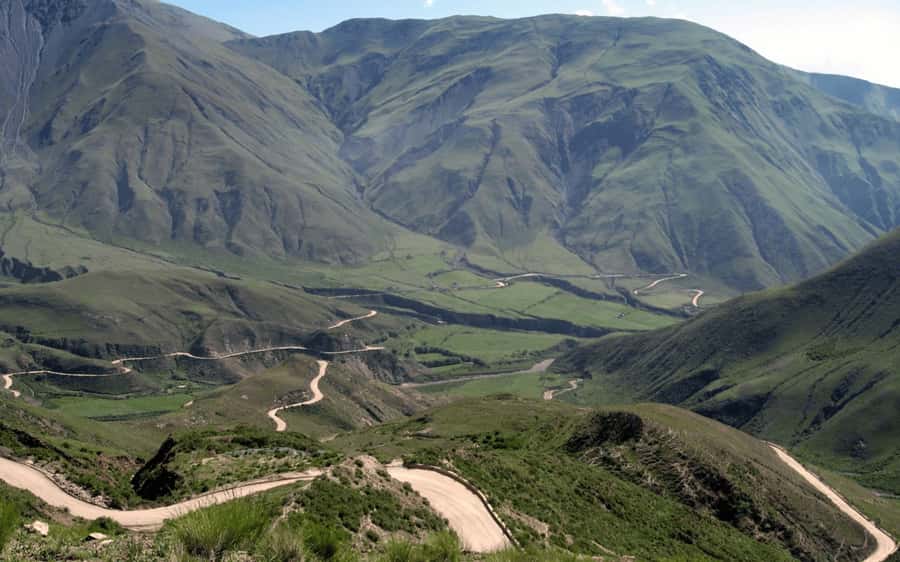 From Salta: Cachi and Los Cardones National Park Tour - Los Cardones National Park: why this is not just another cactus photo