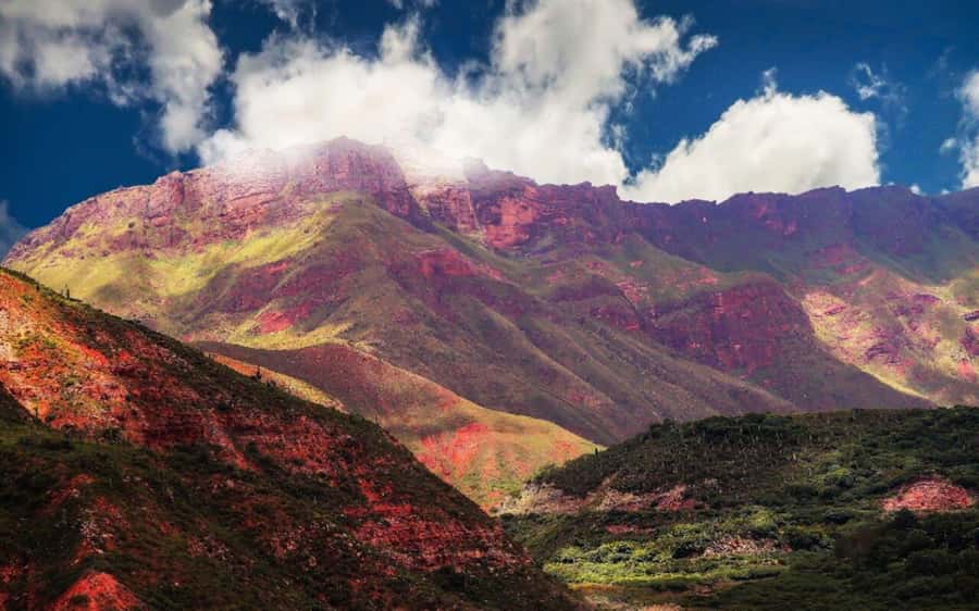 From Salta: Cachi and Los Cardones National Park Tour - Cachi for 2 hours: colonial streets, snowpeaks sightings, and real downtime