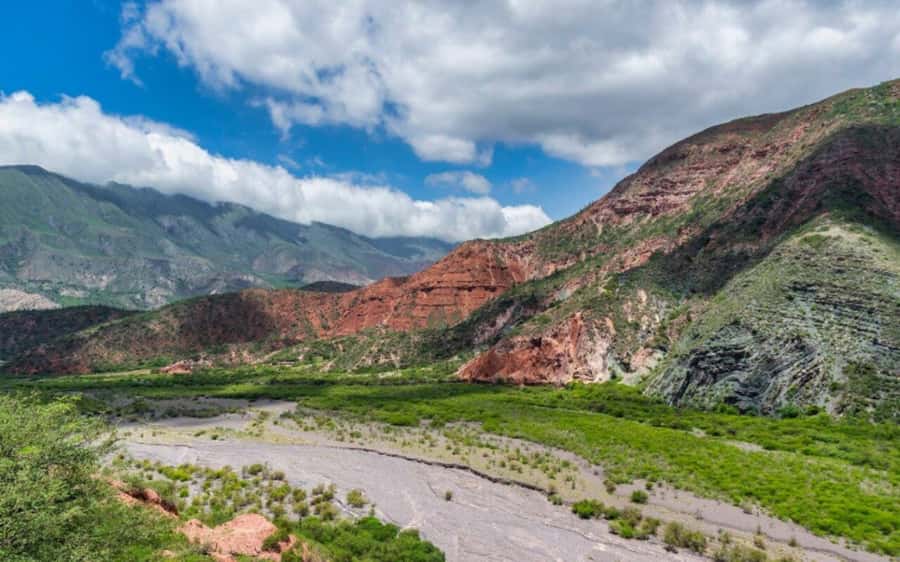 From Salta: Cachi and Los Cardones National Park Tour - The morning run: Cuesta del Obispo and Escoipe Gorge viewpoints