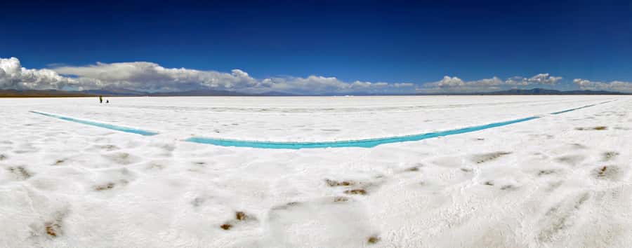 From Salta: Cachi and Salinas Grandes 2-Day Guided Trip - Los Cardones National Park: Cactus Country Time