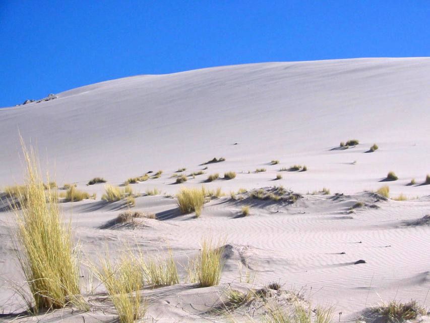 From Salta: Cafayate and Hornocal 2-Day Tour with Transfer - Who should book this, and who should not