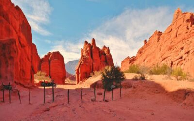 Cafayate and the imposing Quebrada de las Conchas