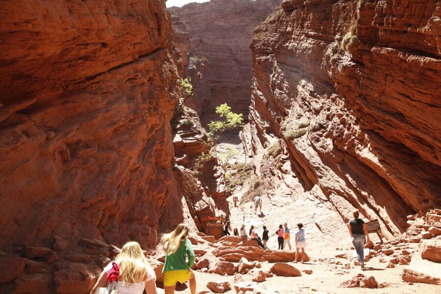 From Salta: Cafayate, Cachi, & Hornocal 3-Day Tour - Cafayate and the Winery Stop: Why the Torrontes Tasting Is More Than a Bonus