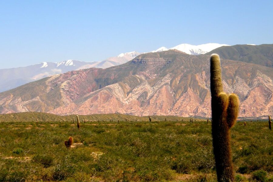 From Salta: Cafayate, Cachi, & Hornocal 3-Day Tour - El Valle Encantado, Inca-Era Recta del Tin Tin, and Parque Nacional los Cardones