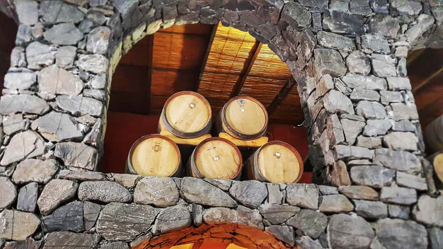 From Salta: Cafayate Day Trip with Wine Tasting - Pace, comfort, and the “bus day” reality