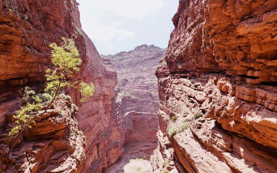From Salta: Cafayate,Humahuaca and Salinas Grandes in 3 days - Maimará and Painter’s Palettes: a color stop that teaches