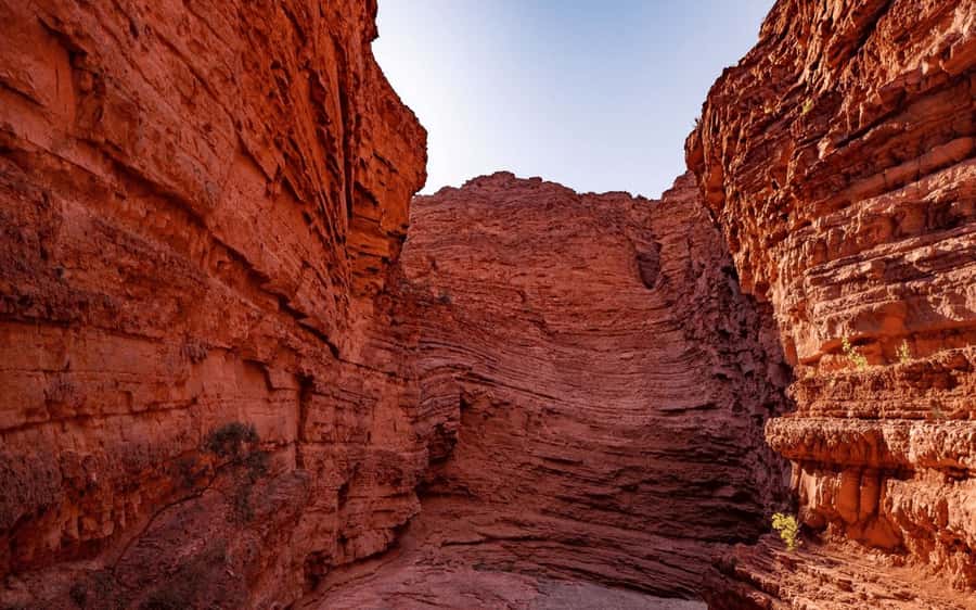 From Salta: Cafayate, Humahuaca, Cachi, & Salinas Grandes - Cachi and Los Cardones National Park, where the cacti look unreal