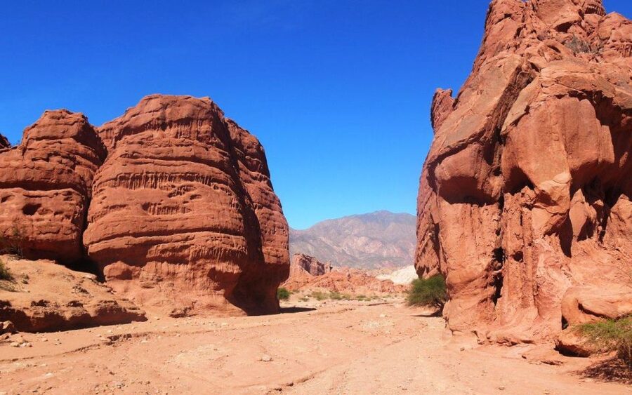 From Salta: Cafayate, land of wines and imposing ravines - Cafayate winery visit: tasting time without pretending it is a wine marathon