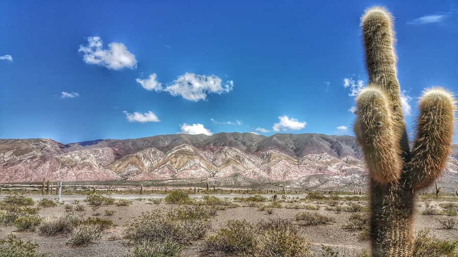 From Salta: Day Trip to Cachi and the Calchaquí Valleys - Salta to Cachi in one day: what you’re really signing up for