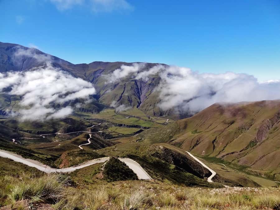 From Salta: Full-Day Scenic Tour to Cachi - Key highlights worth your attention