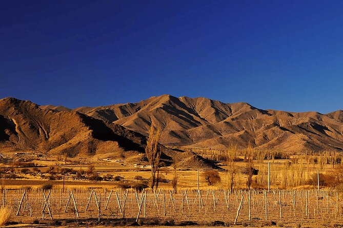 From Salta: Full-day tour to Cachi and Los Cardones National Park - A One-Day Route From Salta to Cachi and Los Cardones