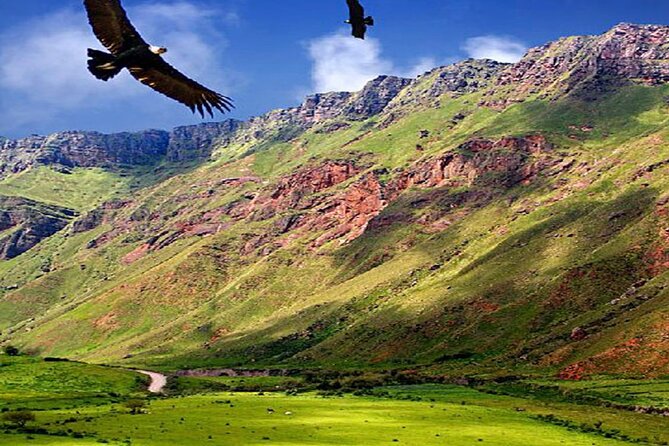 From Salta: Full-day tour to Cachi and Los Cardones National Park - Cachi at noon: two hours to walk, eat, and feel the old-town pace