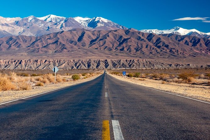 From Salta: Full-day tour to Cachi and Los Cardones National Park - Price, what’s included, and what you’ll pay extra