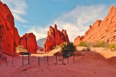 Full-Day Tour to Cafayate, Land of Wines