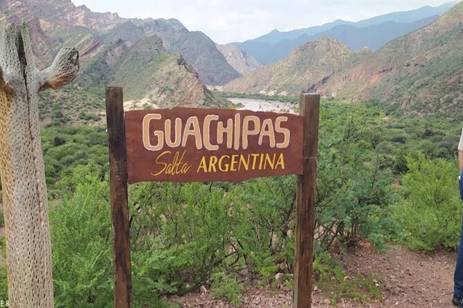From Salta: Full-Day Tour to Cafayate, Land of Wines - Cafayate Winery Tasting: More Than Just Torrontés
