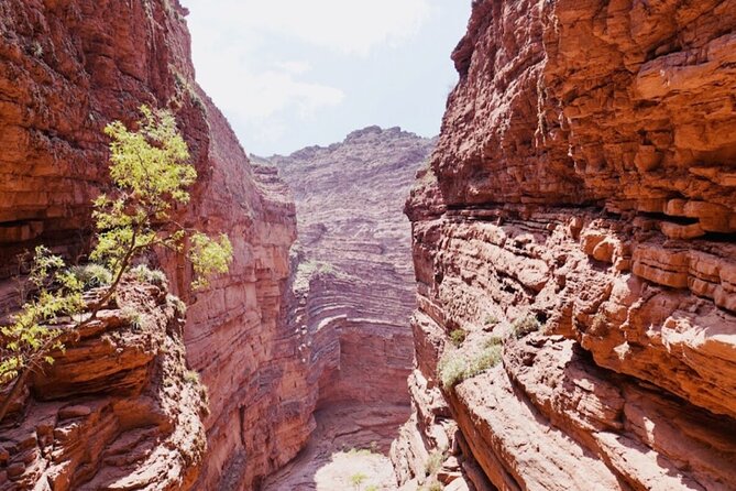 From Salta: Full-Day Tour to Cafayate, Land of Wines - Two Free Hours in Cafayate: Lunch, Walks, and That One-Story Charm