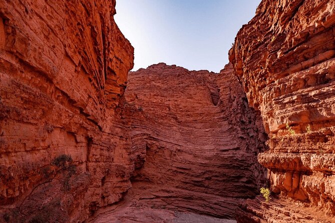 From Salta: Full-Day Tour to Cafayate, Land of Wines - Returning Through Quebrada de las Conchas: The Missed Stops Come Back