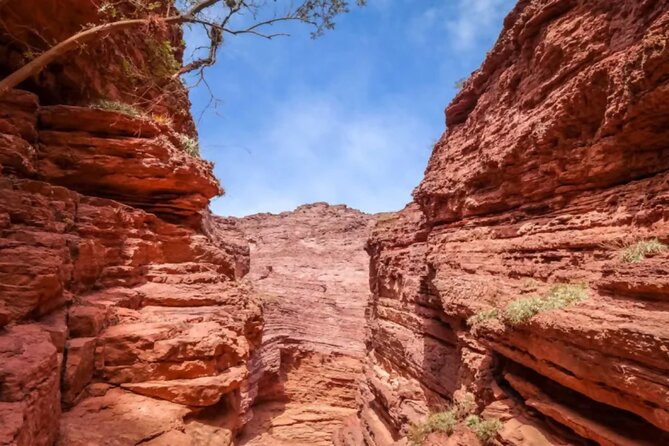 From Salta: Full-Day Tour to Cafayate, Land of Wines - What About the Guide and Language?