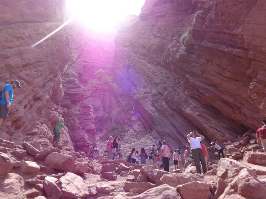From Salta: Full-Day Tour to Cafayate with Wine Tasting - Key highlights you’ll feel fast