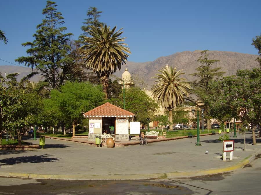 From Salta: Full-Day Tour to Cafayate with Wine Tasting - Winery visit and torrontes tasting: the reality check on how long it lasts