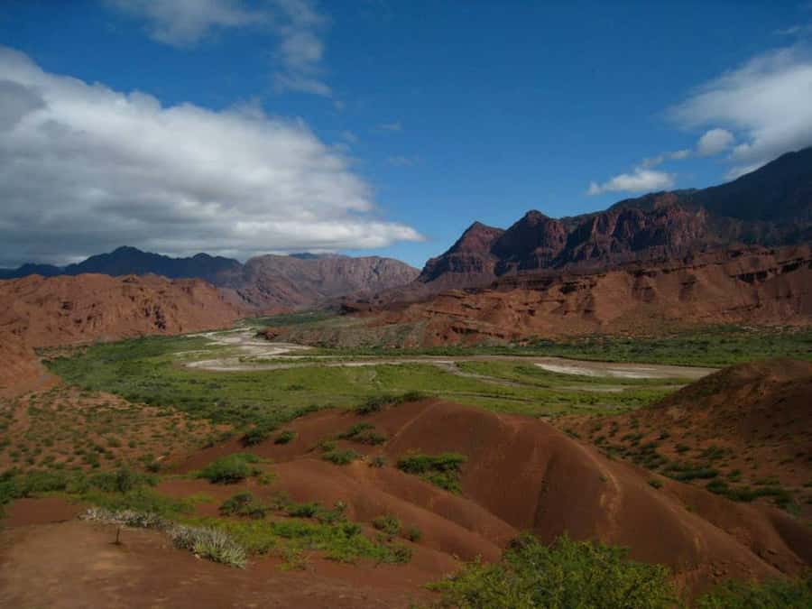From Salta: Full-Day Tour to Cafayate with Wine Tasting - Getting on board in Salta: pickup timing and the long 13-hour rhythm