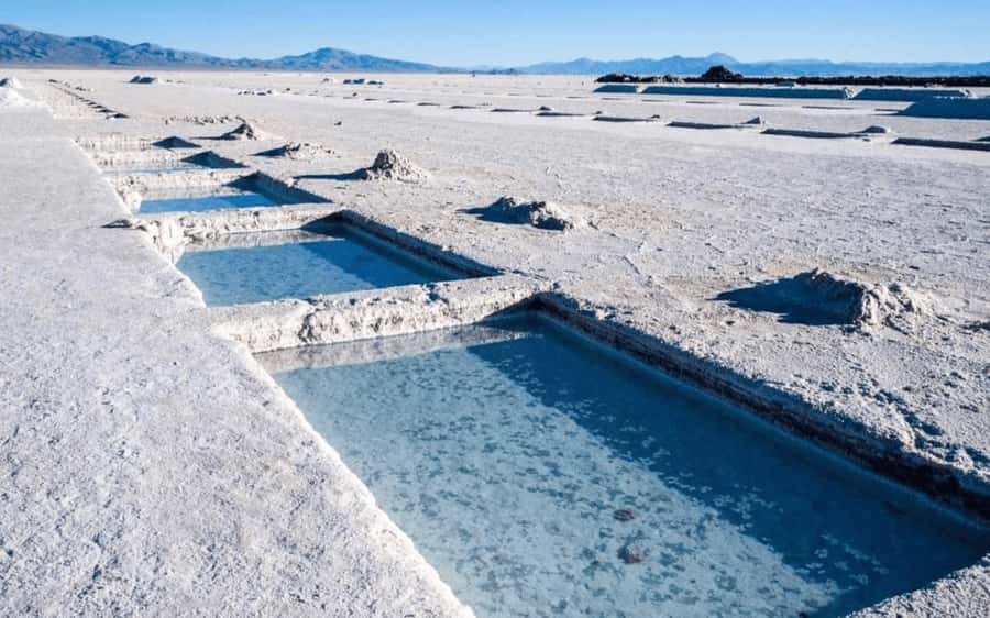 From Salta: Full-Day Tours of Cafayate and Salinas Grandes - Purmamarca craft market time and how to shop smart