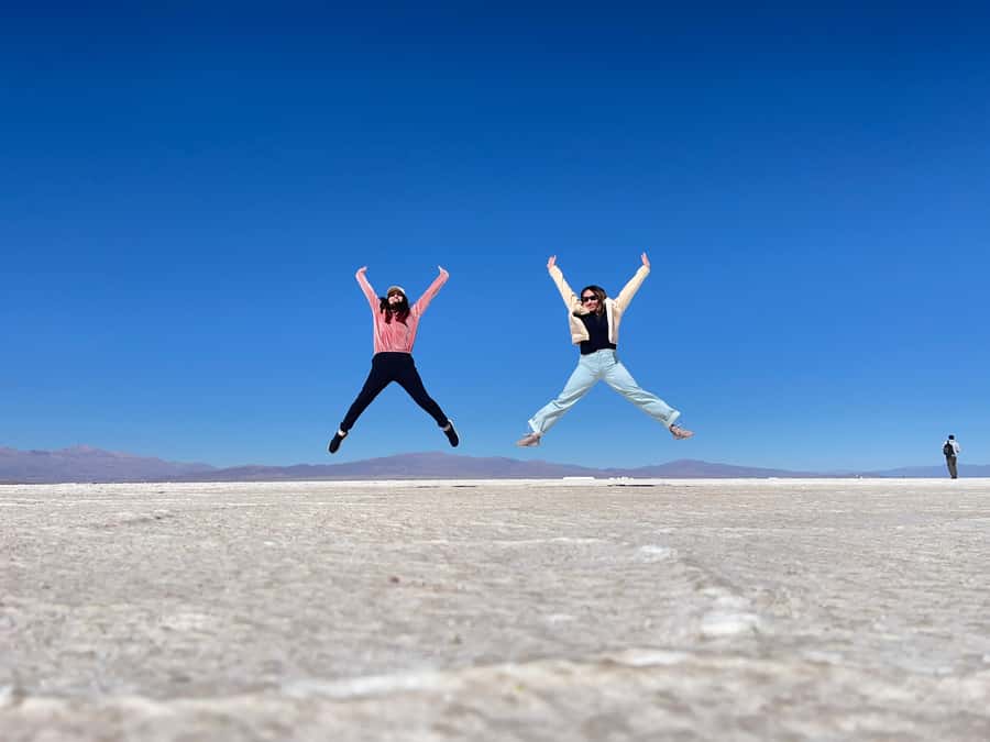 From Salta: Great Salt Flats Day Tour - San Antonio de los Cobres and Route 40: The Long-Drive Reality