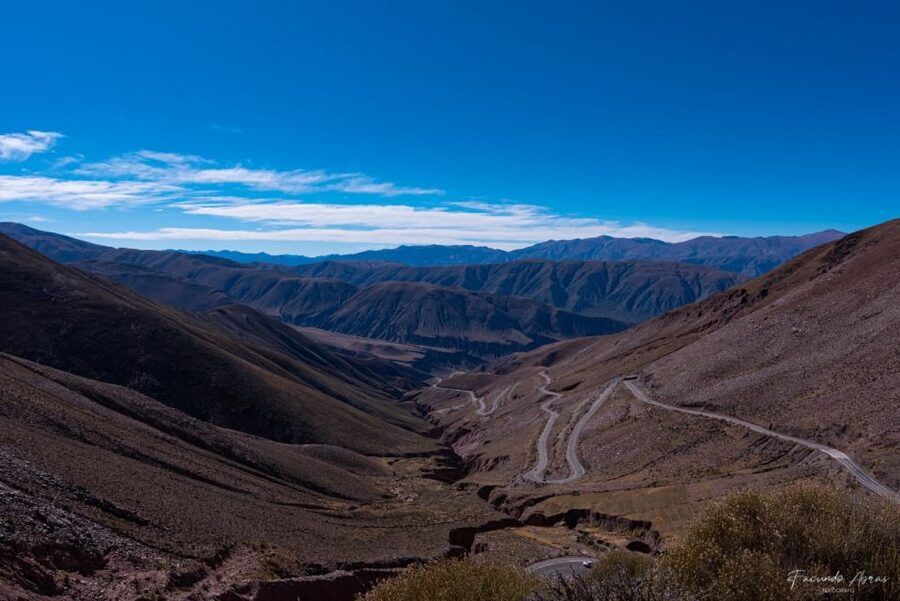 From Salta: Local Landscape, Winery, and Culture Tour - Wine value: what Cafayate adds to this tour