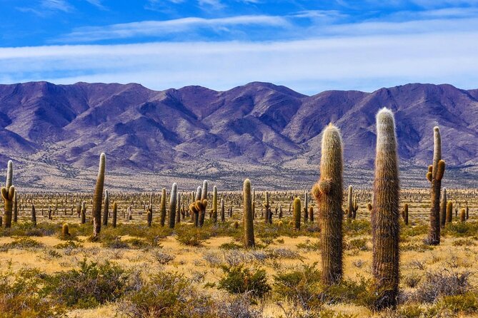 From Salta: Pack of 4 Excursions in Salta and Jujuy - Price and what you truly get for $130.66