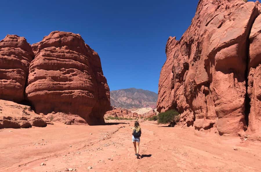 From Salta: The Calchaqui Valley Winery Tour in Cafayate - Key highlights and what they mean for you