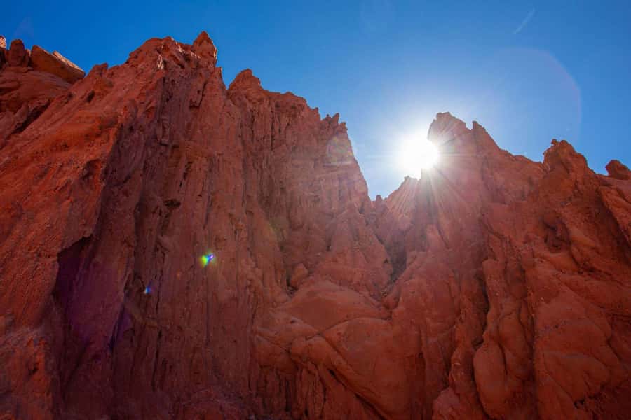 From Salta: The Calchaqui Valley Winery Tour in Cafayate - Cafayate city time and monuments: culture between the tastings