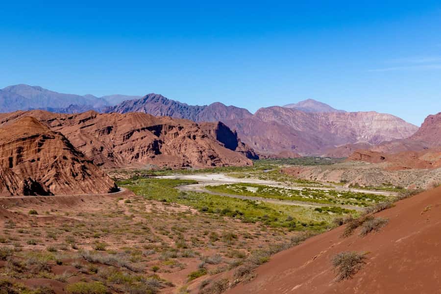 From Salta: The Calchaqui Valley Winery Tour in Cafayate - Winery visit and tastings: Torrontés focus plus red-grape reality