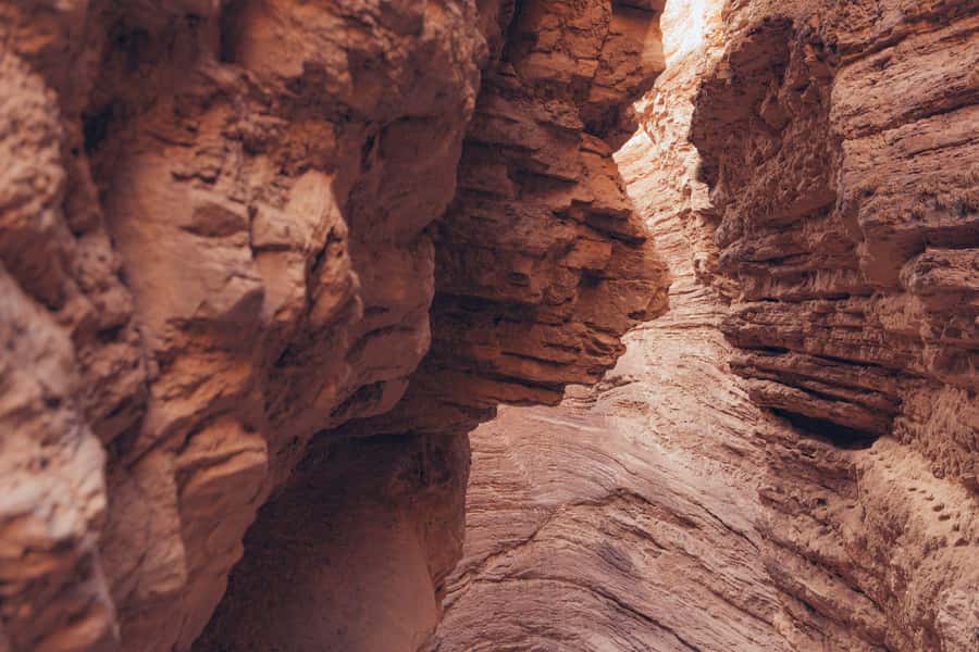 From Salta: The Calchaqui Valley Winery Tour in Cafayate - Lunch timing: plan for it because it’s not included