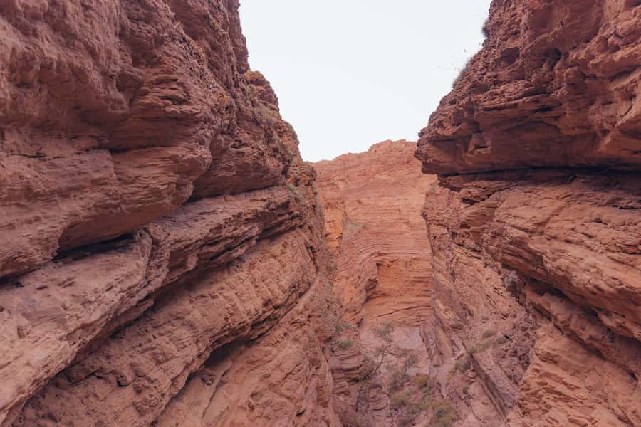 From Salta: The Calchaqui Valley Winery Tour in Cafayate - Price and value: what $38 buys, and what it might not