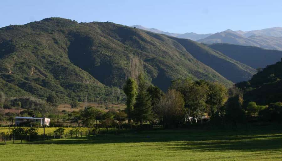From Tucumán: Tafí del Valle, Quilmes Ruins and Cafayate - Key Highlights You Actually Feel