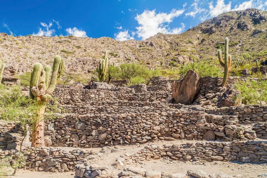 From Tucumán: Tafí del Valle, Quilmes Ruins and Cafayate - Tafí del Valle, the Market Morning, and the Cheese You Might Want to Try