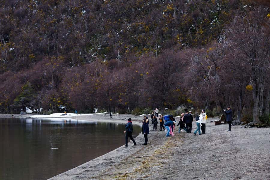 From Ushuaia: Discover Tierra del Fuego National Park - Key things to know before you go