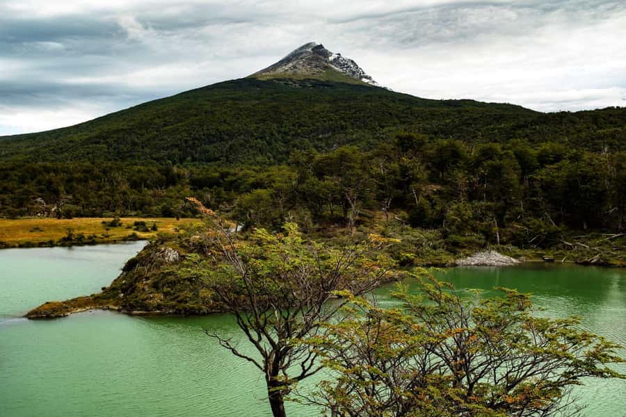 From Ushuaia: Discover Tierra del Fuego National Park - What to bring for comfort and good photos