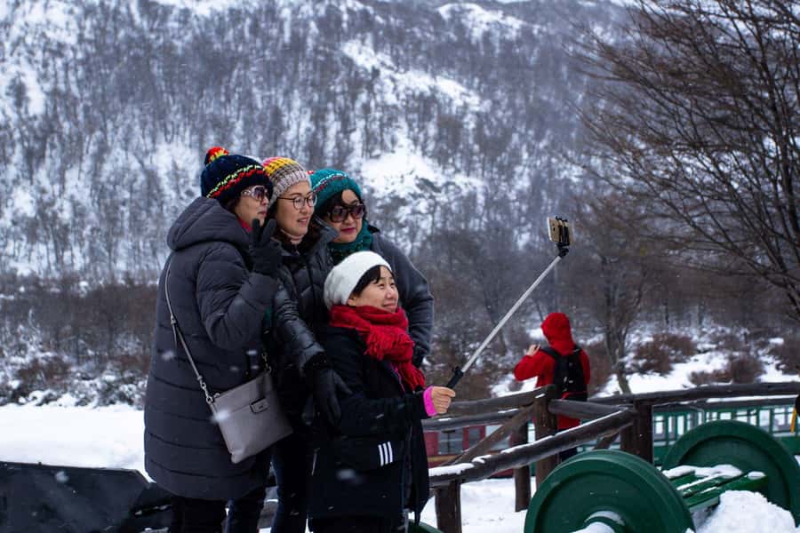 From Ushuaia: Discover Tierra del Fuego National Park - Wildlife focus: what you can realistically hope to see