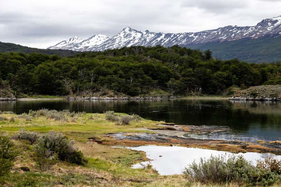 From Ushuaia: Discover Tierra del Fuego National Park - Subantarctic forests, rivers, and coasts: understanding the park in a single day