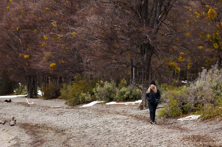 From Ushuaia: Discover Tierra del Fuego National Park - Timing, weather, and the short hikes you might get