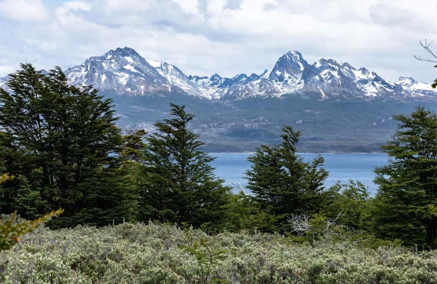 From Ushuaia: Discover Tierra del Fuego National Park - Group size and the add-on question you should ask